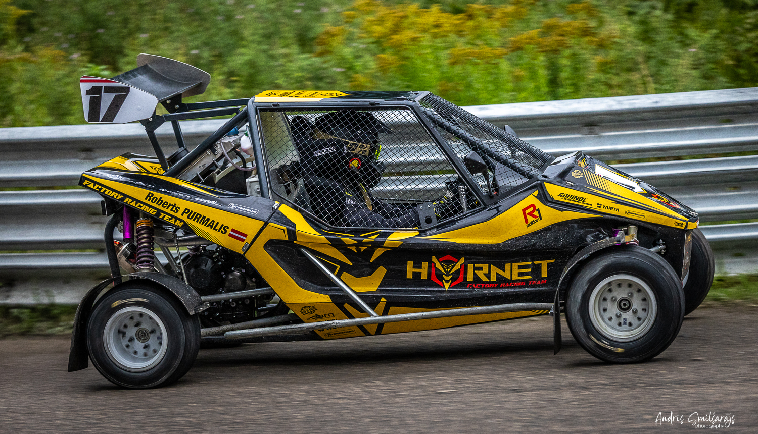 Roberts Purmalis, bagijs