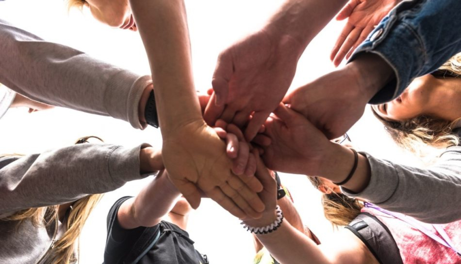 rokas_alises-timermanes-bilde