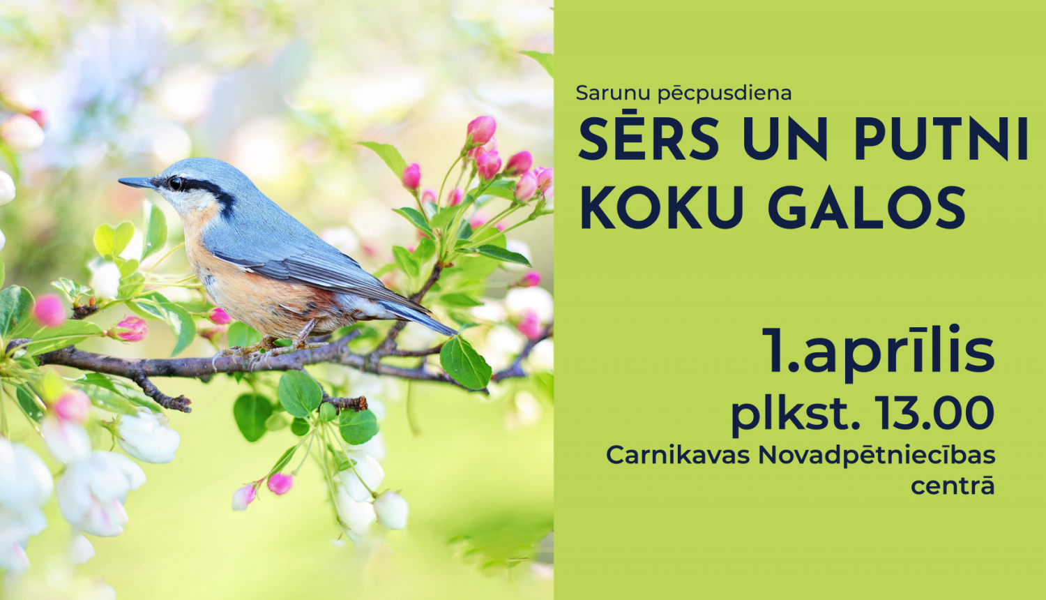 sērs-un-putni-koku-galos-saruna-01042023