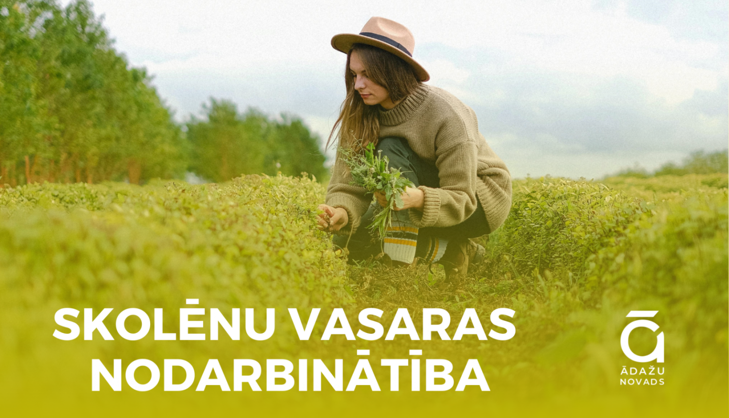 skolēnu vasaras nodarbinātība