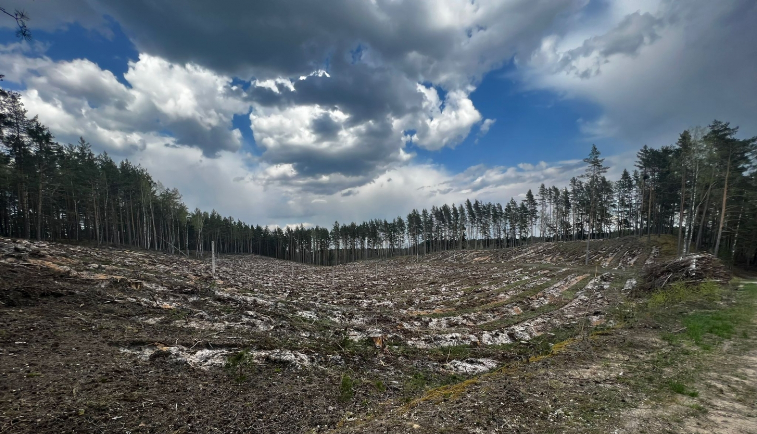 mežs un lauks