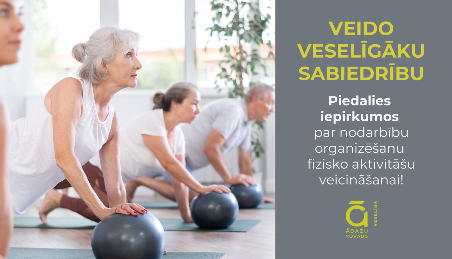 vesel iepirkumi