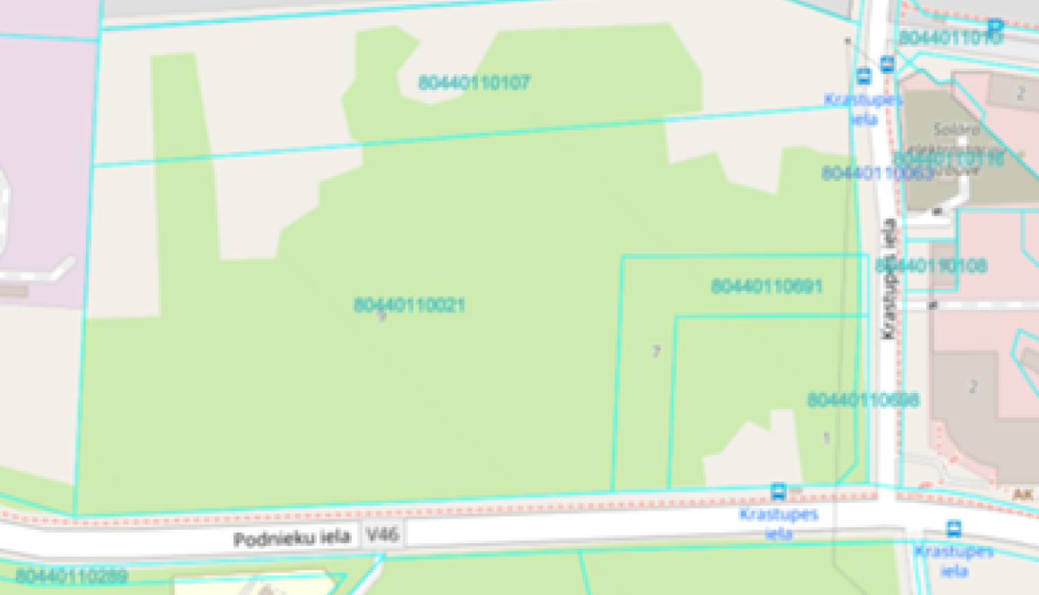 pamatskola Podniekos