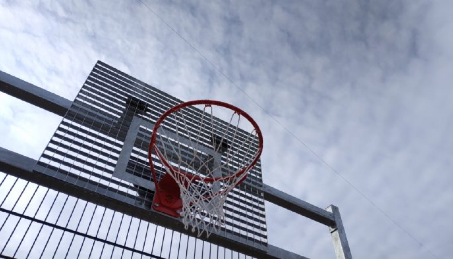 Basketbola grozs