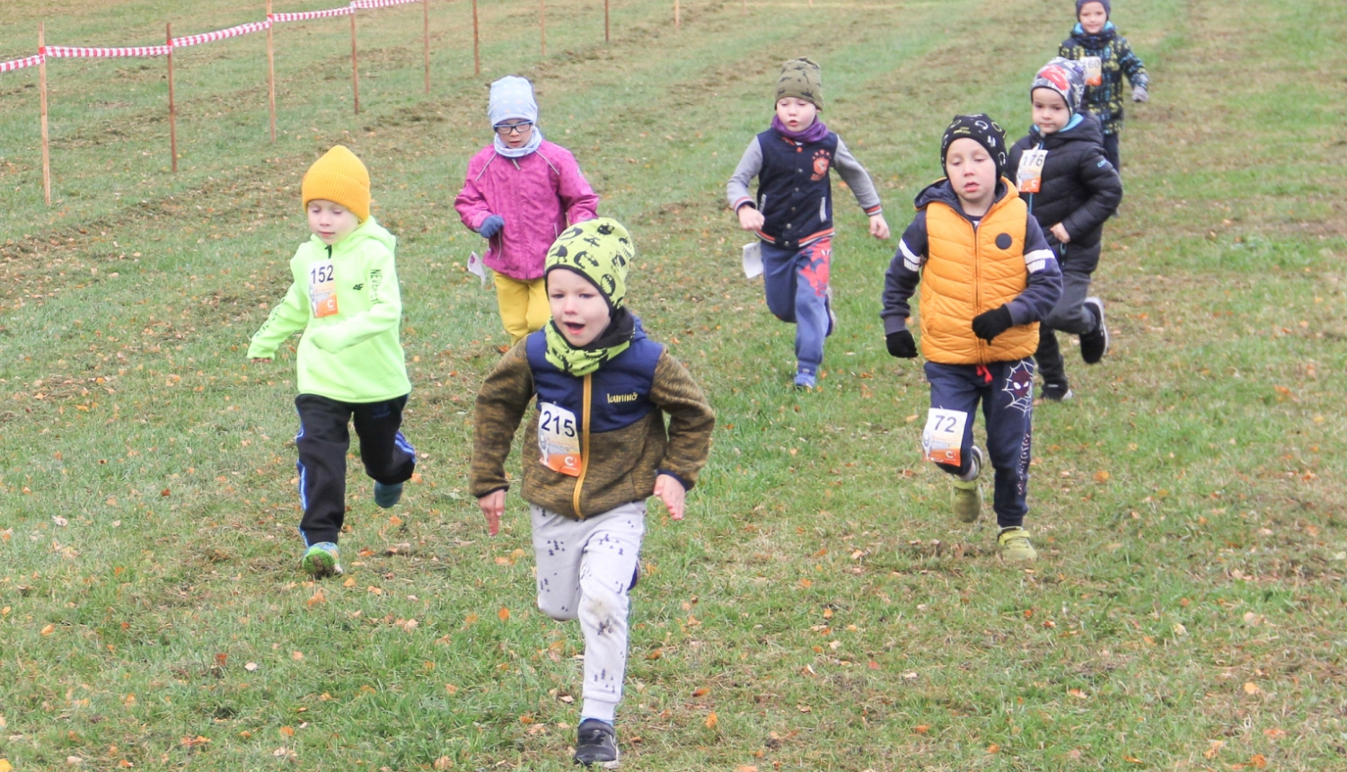 Rudens Zibens kross