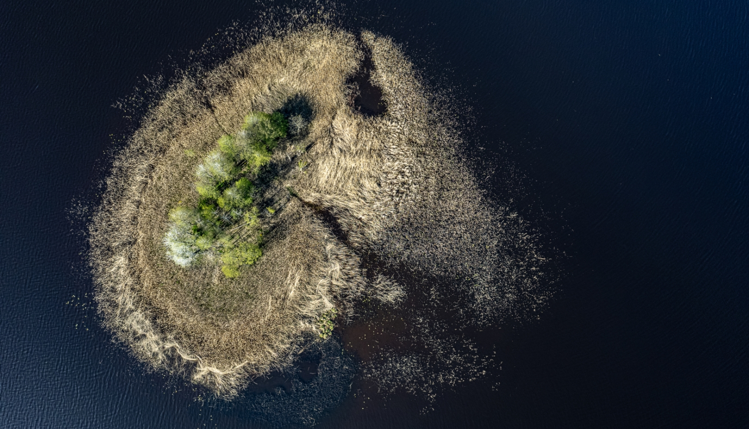 Inese Austruma "Lilastes ezers"