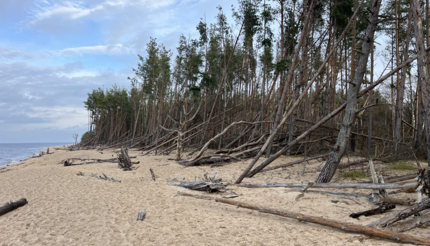 Piejūras rogainings 2025 - Carnikava
