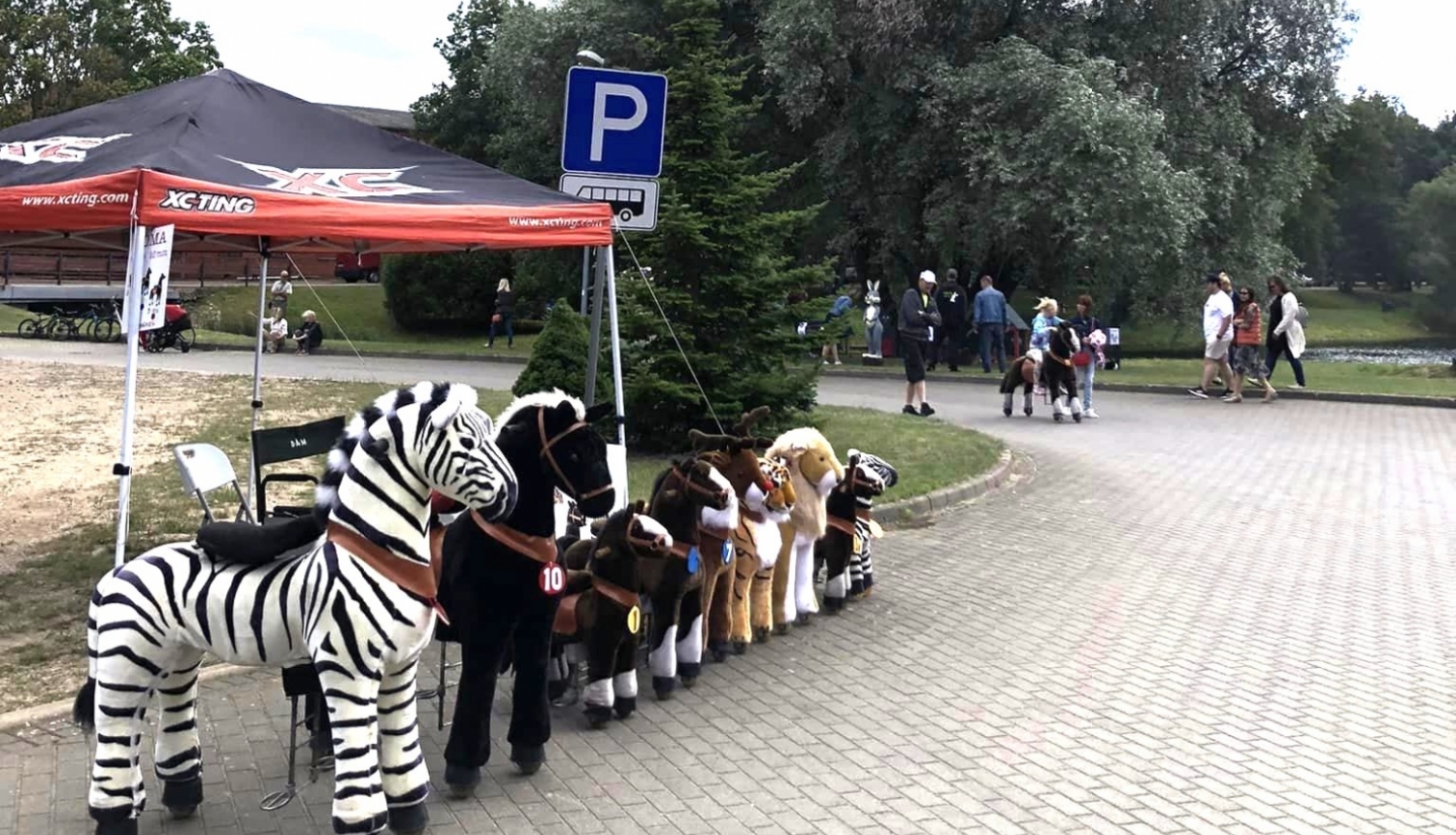 ponicikls