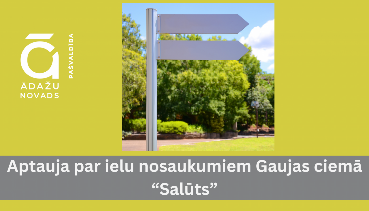 aptauja_Salūts