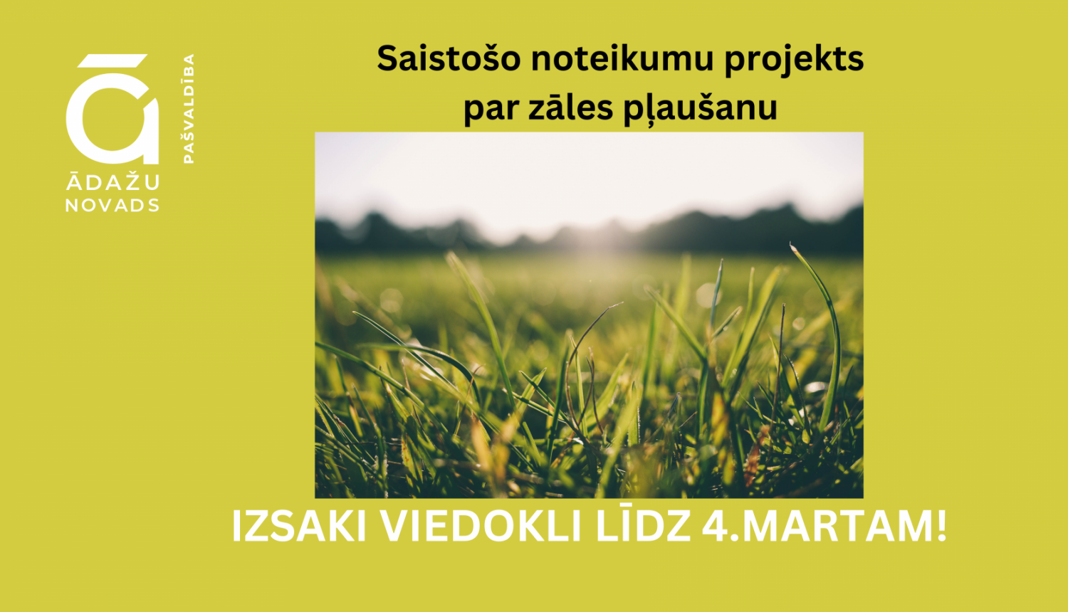 SN zāles plausana 4marts