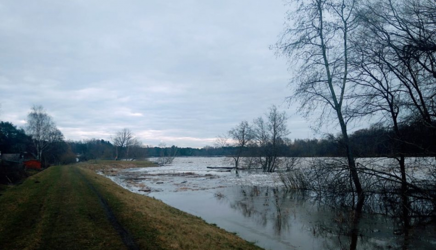 Gauja